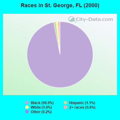 Races in St. George, FL (2000)
