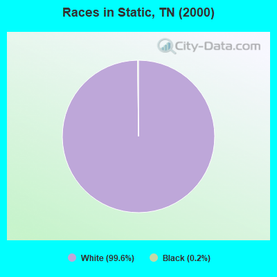 Races in Static, TN (2000)