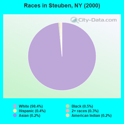 Races in Steuben, NY (2000)