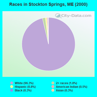 Races in Stockton Springs, ME (2000)