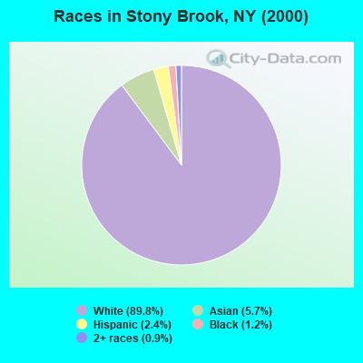 Races in Stony Brook, NY (2000)