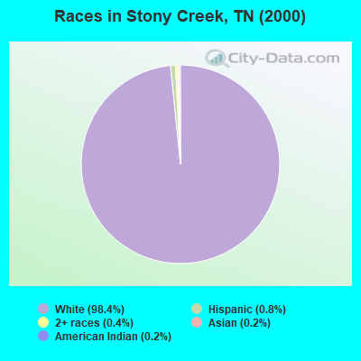 Races in Stony Creek, TN (2000)