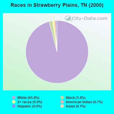 Races in Strawberry Plains, TN (2000)