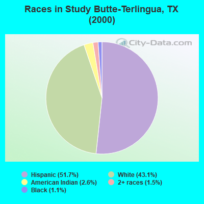Races in Study Butte-Terlingua, TX (2000)