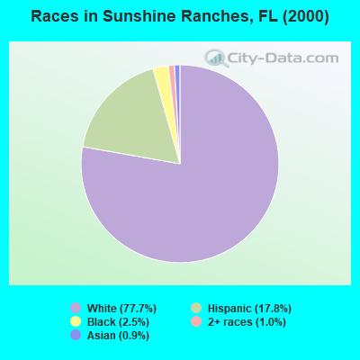 Races in Sunshine Ranches, FL (2000)