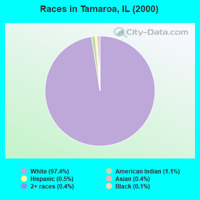 Races in Tamaroa, IL (2000)