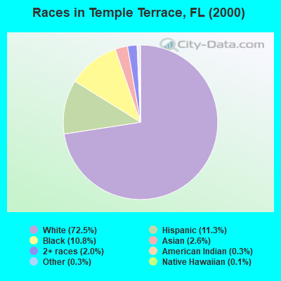 Races in Temple Terrace, FL (2000)
