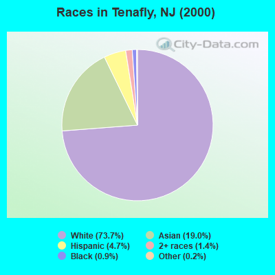 Races in Tenafly, NJ (2000)