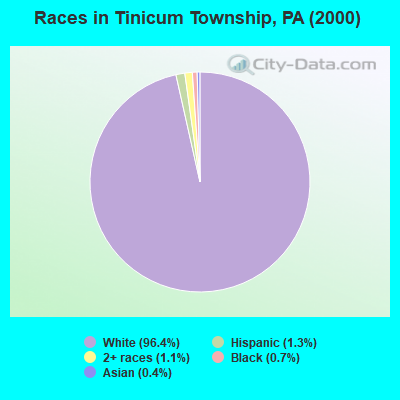 Races in Tinicum Township, PA (2000)