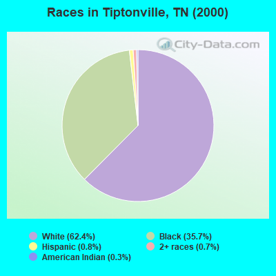 Races in Tiptonville, TN (2000)