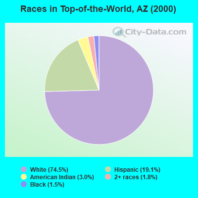 Races in Top-of-the-World, AZ (2000)