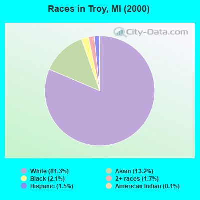 Races in Troy, MI (2000)