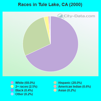 Races in Tule Lake, CA (2000)