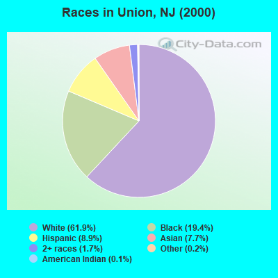 Races in Union, NJ (2000)