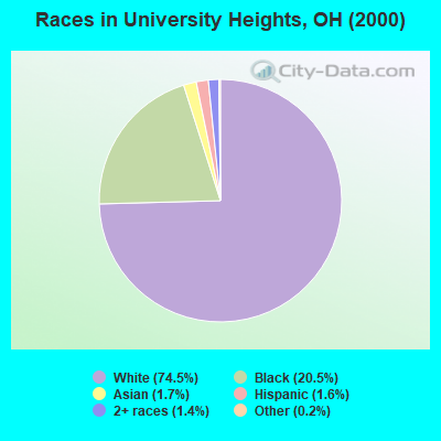 Races in University Heights, OH (2000)