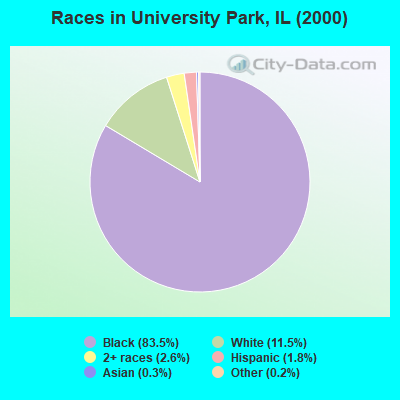 Races in University Park, IL (2000)
