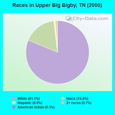 Races in Upper Big Bigby, TN (2000)