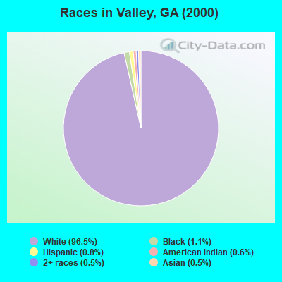 Races in Valley, GA (2000)