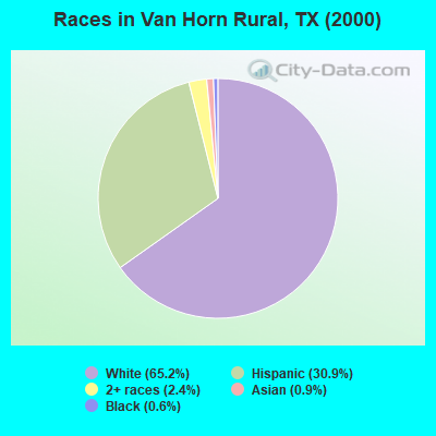 Races in Van Horn Rural, TX (2000)