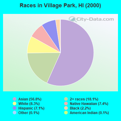 Races in Village Park, HI (2000)