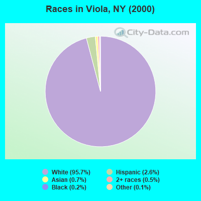 Races in Viola, NY (2000)