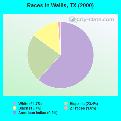 Races in Wallis, TX (2000)