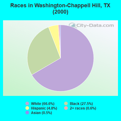 Races in Washington-Chappell Hill, TX (2000)