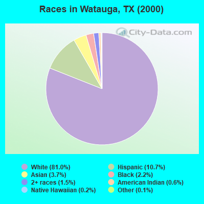 Races in Watauga, TX (2000)