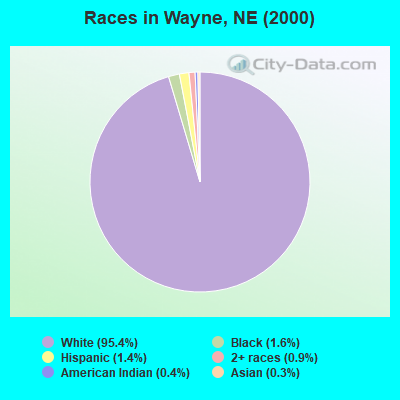 Races in Wayne, NE (2000)