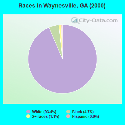 Races in Waynesville, GA (2000)