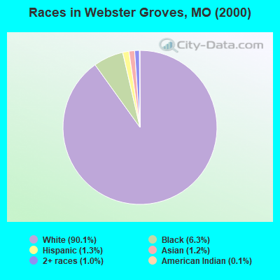 Races in Webster Groves, MO (2000)