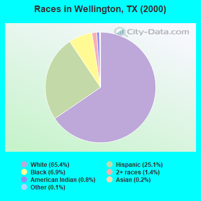 Races in Wellington, TX (2000)