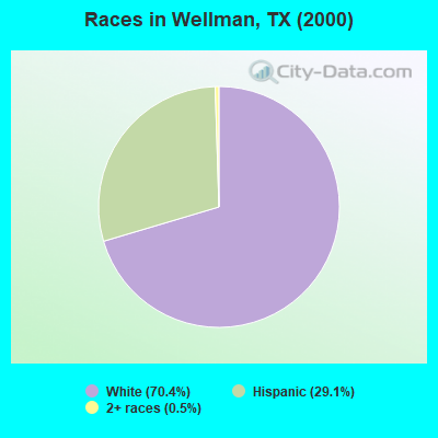 Races in Wellman, TX (2000)