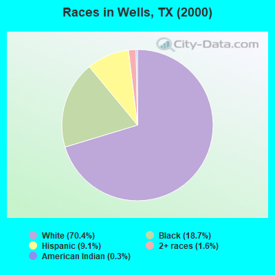Races in Wells, TX (2000)