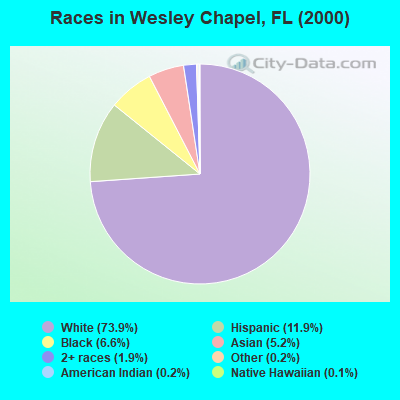 Races in Wesley Chapel, FL (2000)