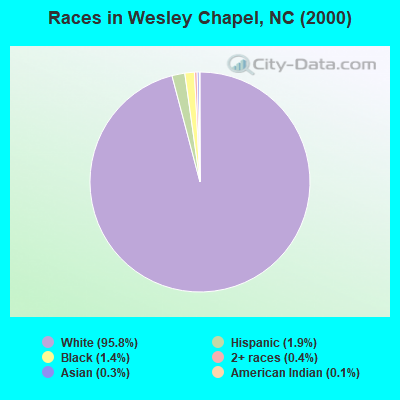 Races in Wesley Chapel, NC (2000)