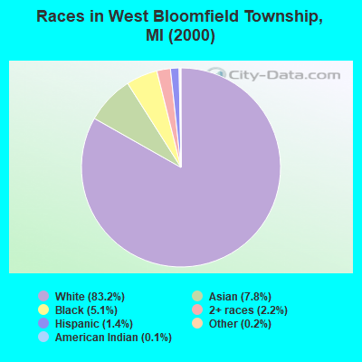 Races in West Bloomfield Township, MI (2000)