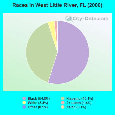 Races in West Little River, FL (2000)