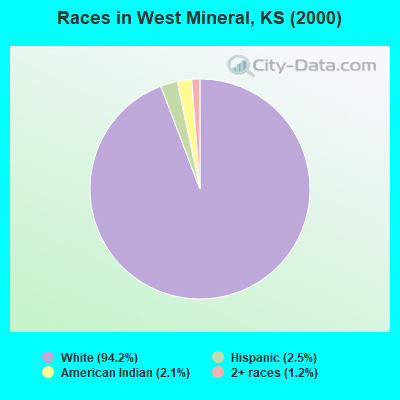 Races in West Mineral, KS (2000)