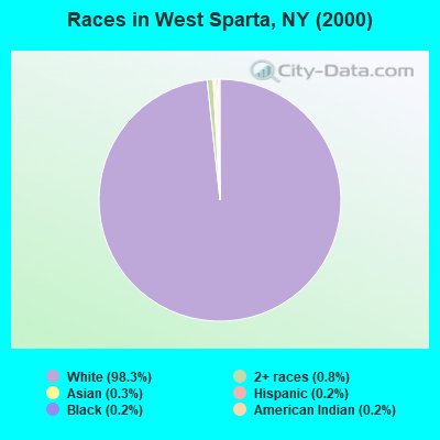 Races in West Sparta, NY (2000)