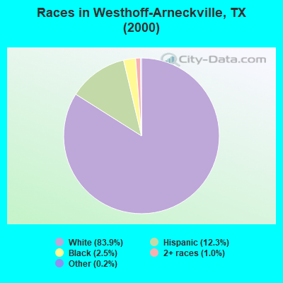 Races in Westhoff-Arneckville, TX (2000)