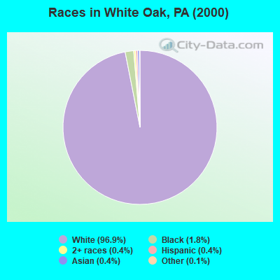 Races in White Oak, PA (2000)