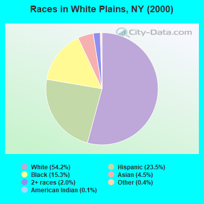 Races in White Plains, NY (2000)