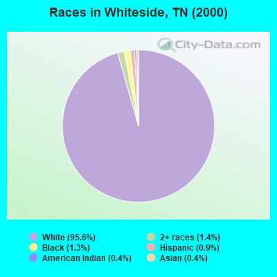 Races in Whiteside, TN (2000)