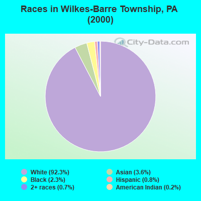Races in Wilkes-Barre Township, PA (2000)