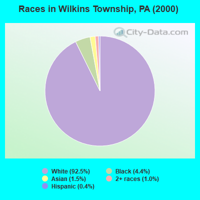Races in Wilkins Township, PA (2000)