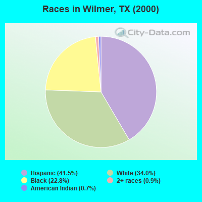 Races in Wilmer, TX (2000)