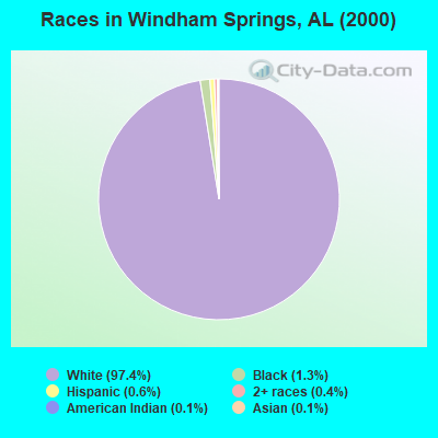Races in Windham Springs, AL (2000)
