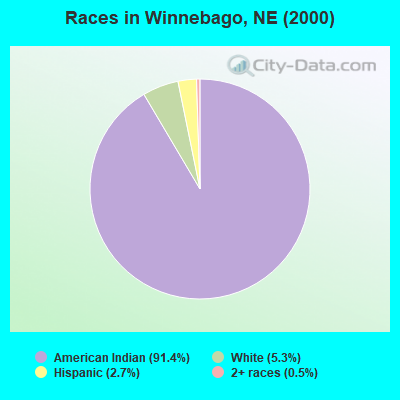 Races in Winnebago, NE (2000)