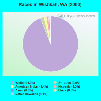 Races in Wishkah, WA (2000)